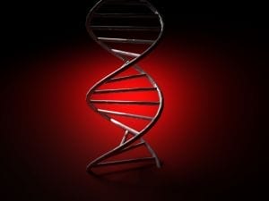 DNA Double Helix Model – Genetic Link to Mesothelioma - Ferraro Law Firm Artistic rendering of a DNA double helix against a red background, symbolizing genetic mutations linked to mesothelioma.