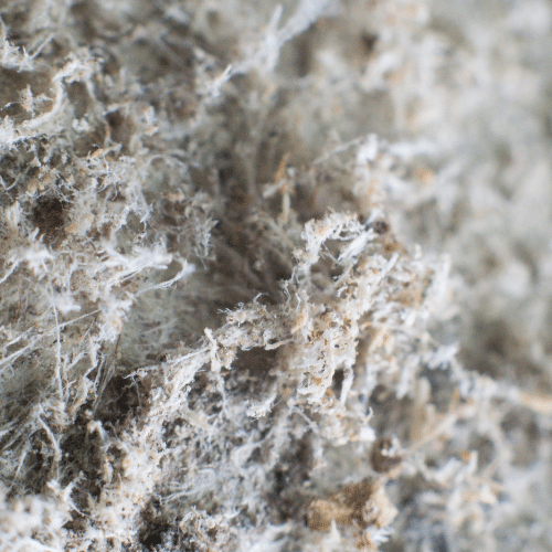 Microscopic close-up of asbestos fibers, a hazardous material linked to mesothelioma and other serious conditions.